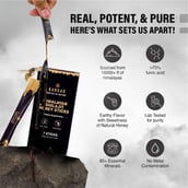 2 - Bargad Himalayan Shilajit Honey Sticks Classic Flavour,  7 Stick(s) 