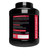 3 - Muscle Performance Anabolic Mass Gainer, 5.5 lb Creamy Vanilla with Steel Shaker
