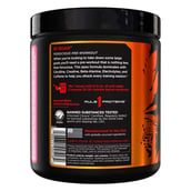 3 - Rule One Roar Ferocious Pre-Workout, 0.69 lb Fruit Punch