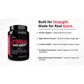 2 - Muscle Performance Anabolic Mass Gainer, 2.2 lb Rabri Kulfi