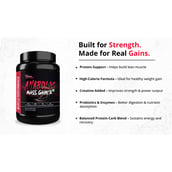 8 - Muscle Performance Anabolic Mass Gainer, 2.2 lb Irish Chocolate