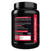 3 - Muscle Performance Anabolic Mass Gainer, 2.2 lb Creamy Vanilla with Steel Shaker