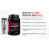 8 - Muscle Performance Anabolic Mass Gainer, 2.2 lb Creamy Vanilla with Steel Shaker