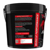 2 - Muscle Performance Anabolic Mass Gainer, 11 lb Creamy Vanilla