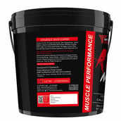 3 - Muscle Performance Anabolic Mass Gainer,  11 lb  Irish Chocolate 