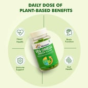 2 - Dr. Morepen Veg Omega 3 6 7 9, 60 capsules