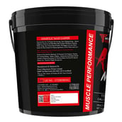 2 - Muscle Performance Anabolic Mass Gainer with Creatine Monohydrate 0.66 lbs, Steel Shaker & Gym Bag Combo, 11 lb Creamy Vanilla