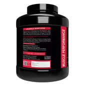 4 - Muscle Performance Anabolic Mass Gainer with Creatine Monohydrate 0.66 lbs, Steel Shaker & Gym Bag Combo, 5.5 lb Rabri Kulfi