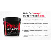 9 - Muscle Performance Anabolic Mass Gainer with Gym Bag Combo, 11 lb Irish Chocolate