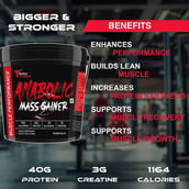 7 - Muscle Performance Anabolic Mass Gainer with Gym Bag Combo, 11 lb Rabri Kulfi