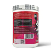 2 - Gibbon Nutrition Svelte Pre-Workout, 1.1 lb Fruit Punch