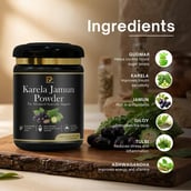 3 - PRIME VITA Karela Jamun Powder with 13 Potent Herbs, 400 g