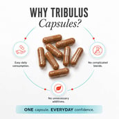 5 - AS-IT-IS Nutrition Tribulus,  60 capsules 