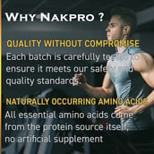 6 - Nakpro Whey Gold Protein Concentrate, 2.2 lb Chocolate Cream