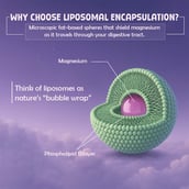 4 - BeastLife Liposomal Triple Magnesium+,  Unflavoured  60 capsules 