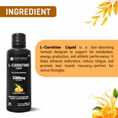 4 - Pure Nutrition L-Carnitine Liquid,  450 ml  Valencia Orange 