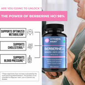 3 - Vitaminhaat Berberis Aristata (Berberine Hcl 98%) 500mg, 60 capsules