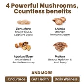 6 - Rooted Active Naturals Hexose Correlated Compound (AHCC) Mushroom Extract, 45 g