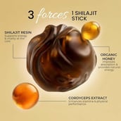 3 - Rooted Active Naturals Shilajit Honey Sticks with Cordyceps, 30 Stick(s)