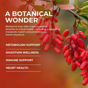 4 - Rooted Active Naturals Berberine, 60 veggie capsule(s)