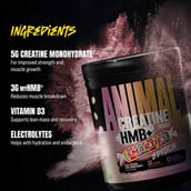 2 - Universal Nutrition Animal Creatine Hmb+, Power Punch 0.75 lb
