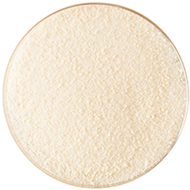 Marine Collagen Peptides