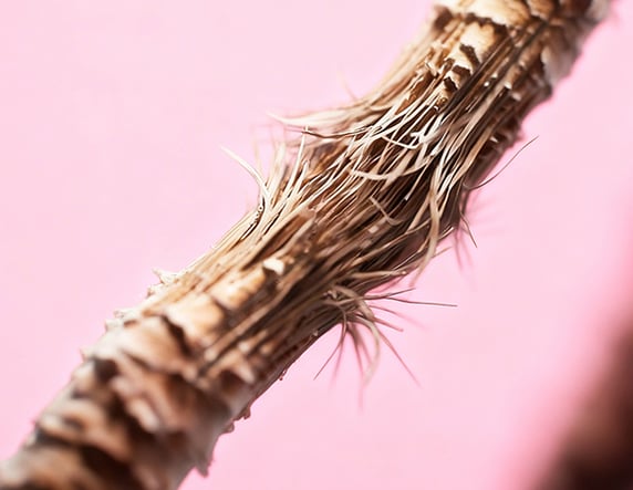 Science of Hair Nourish Collagen